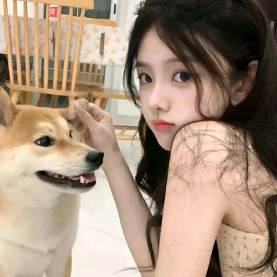 忠犬帕尔玛国语